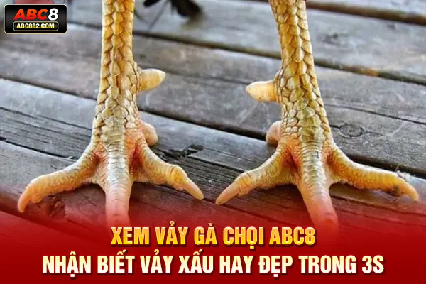 xem vảy gà chọi
